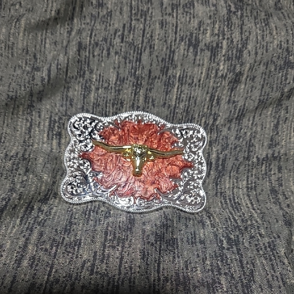 NWOT Silver and Gold Belt Buckle